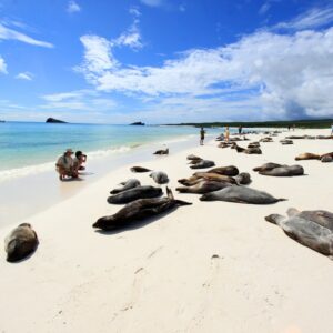 Tour a Galapagos magico