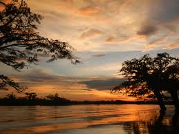 Tour a Cuyabeno-Jamu lodge - Imagen 2
