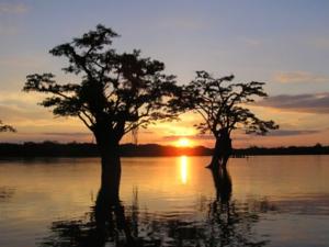 Tour a Cuyabeno-Jamu lodge - Imagen 3